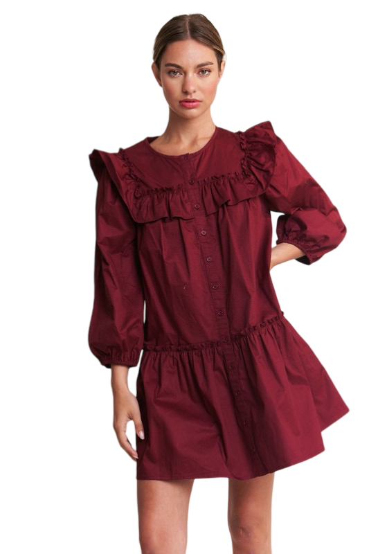 Apparel- In The Beginning Long Sleeve Ruffle Mini Dress