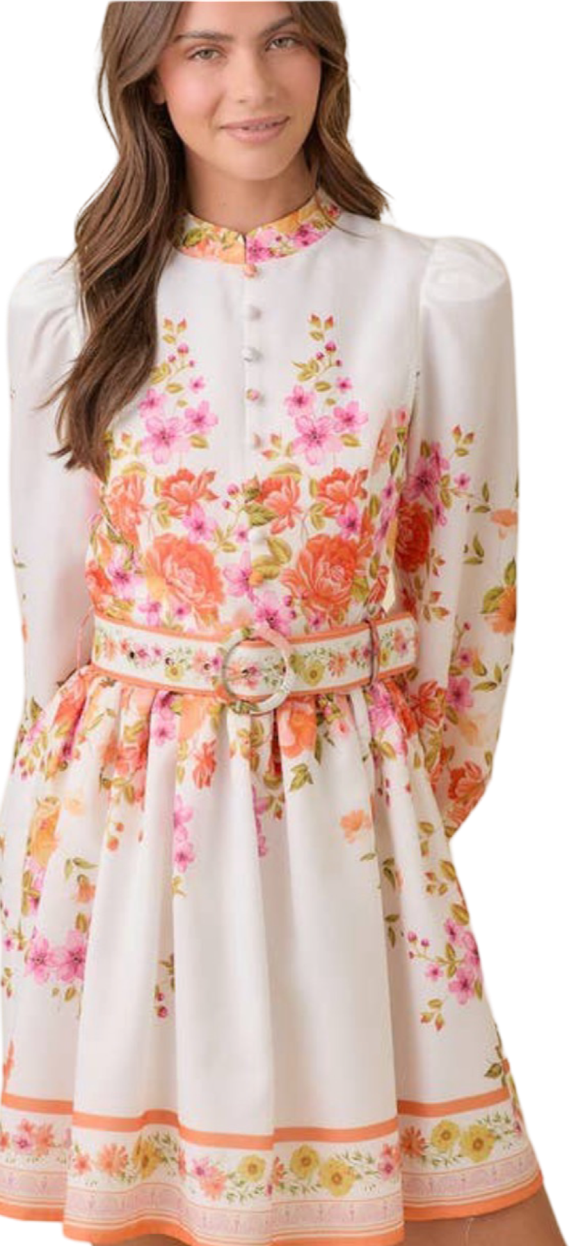 Apparel- Main Strip Mock Neck Floral Border Print Mini Dress