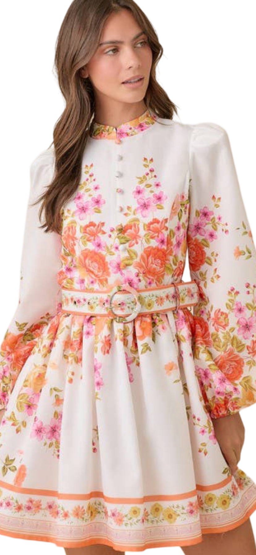 Apparel- Main Strip Mock Neck Floral Border Print Mini Dress