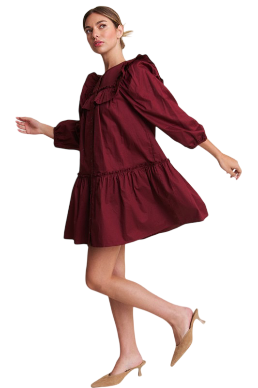 Apparel- In The Beginning Long Sleeve Ruffle Mini Dress