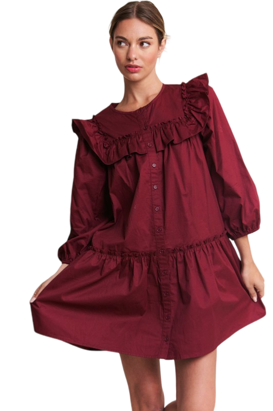 Apparel- In The Beginning Long Sleeve Ruffle Mini Dress