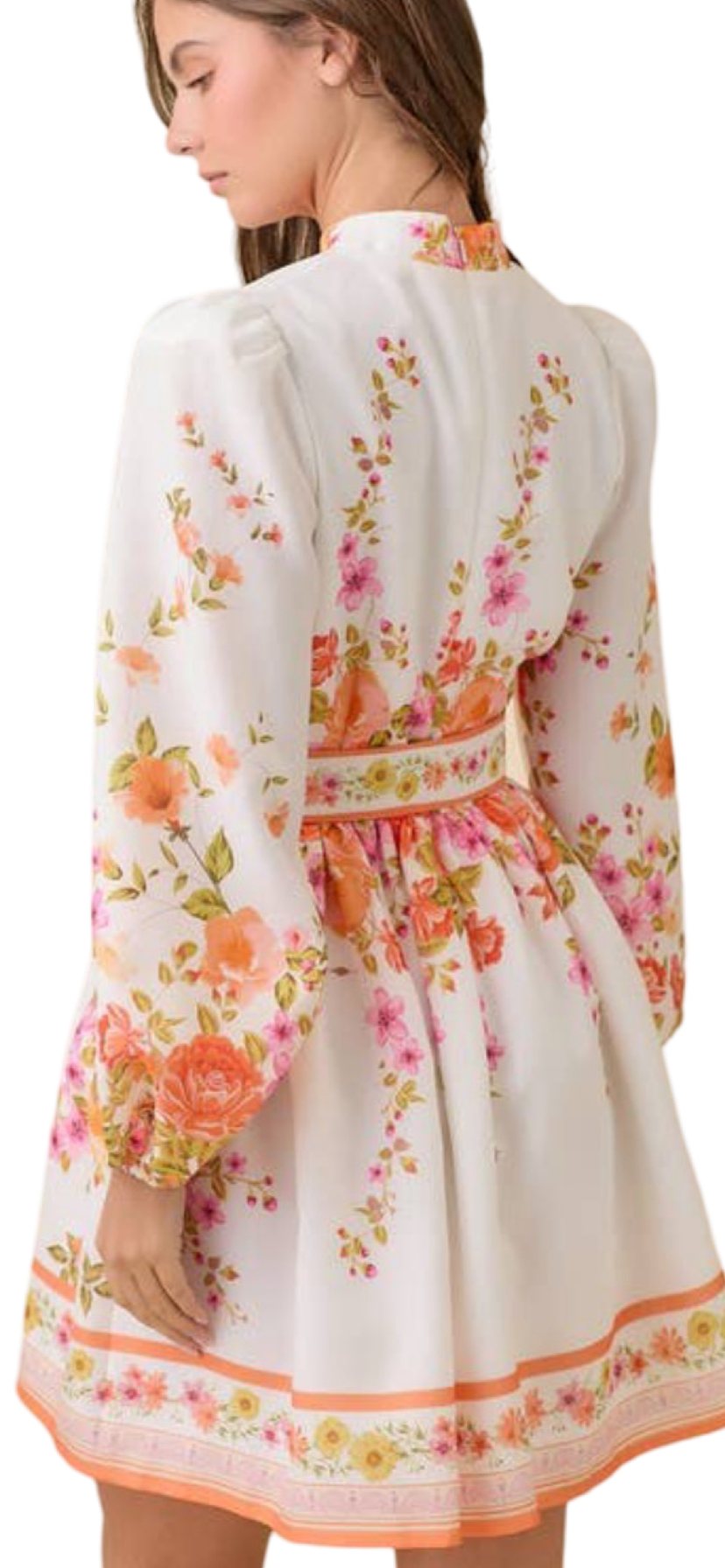 Apparel- Main Strip Mock Neck Floral Border Print Mini Dress