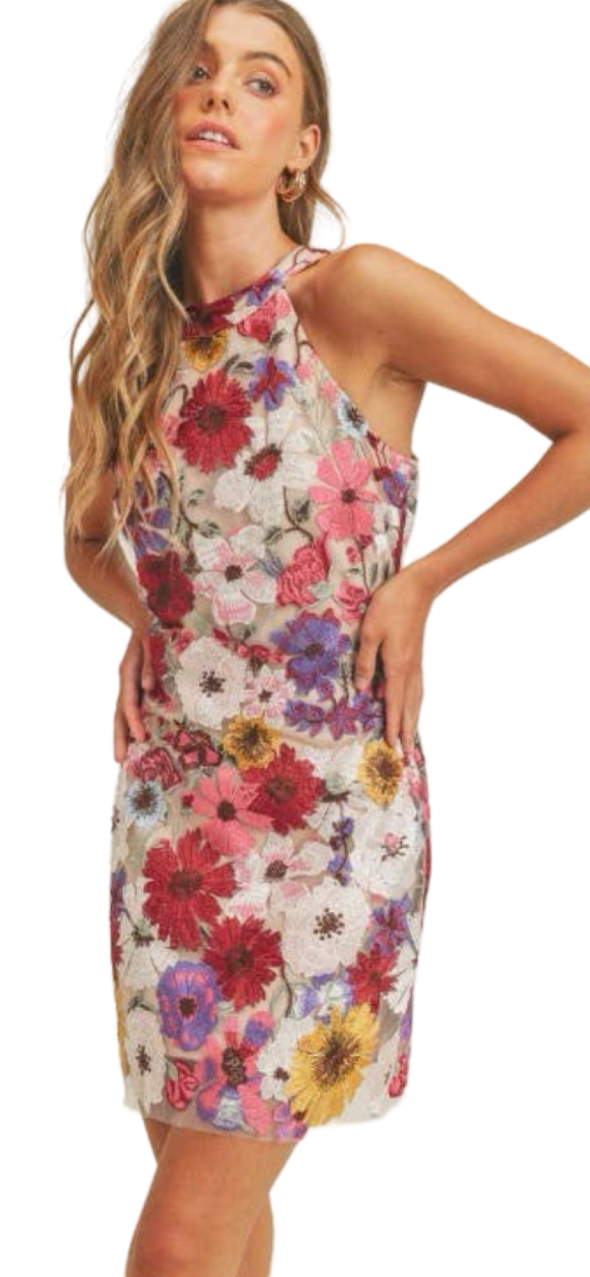 Apparel- Just Me Floral Embro All Over Sleeveless Halter Mini Dress