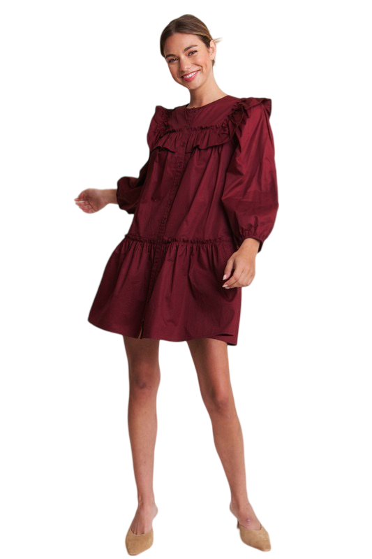 Apparel- In The Beginning Long Sleeve Ruffle Mini Dress