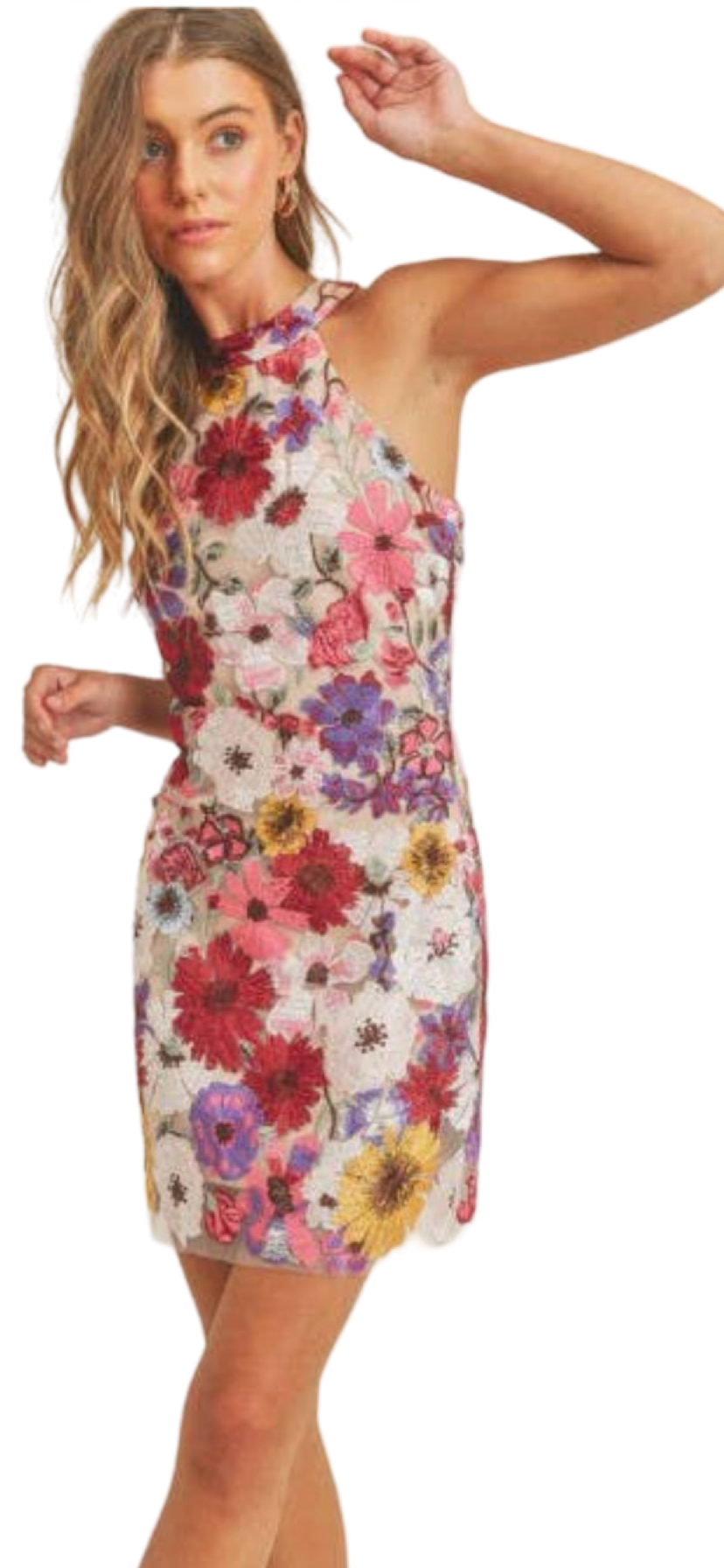 Apparel- Just Me Floral Embro All Over Sleeveless Halter Mini Dress