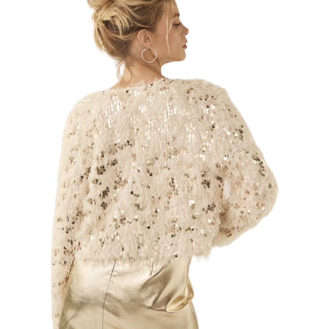 Apparel- Idem Ditto Feathered Sequin Embellished Jacket