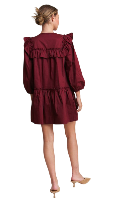 Apparel- In The Beginning Long Sleeve Ruffle Mini Dress