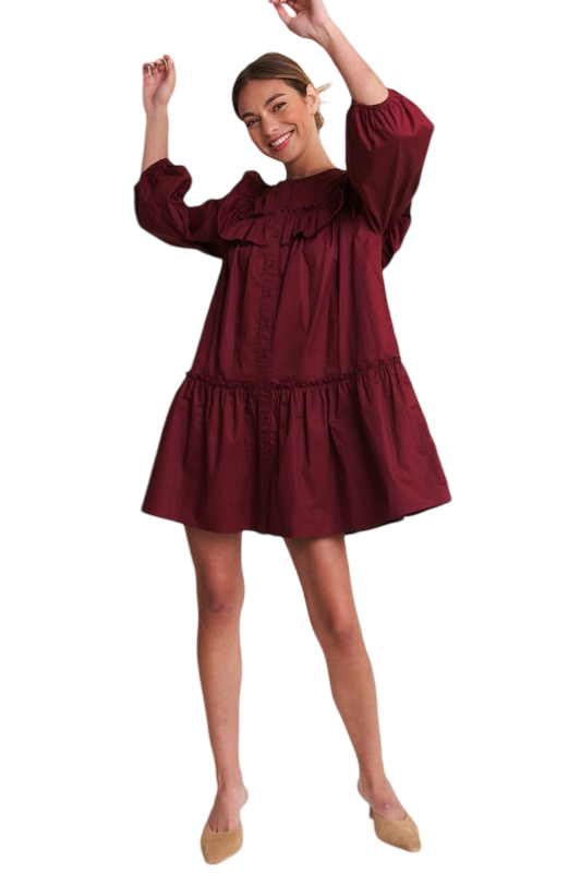 Apparel- In The Beginning Long Sleeve Ruffle Mini Dress