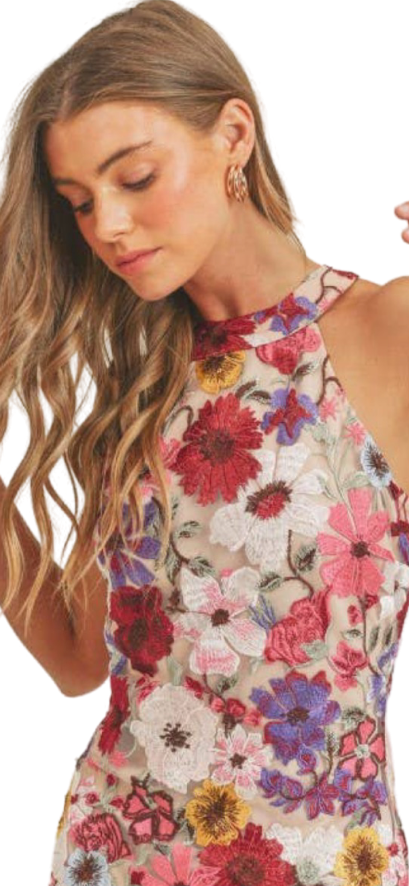 Apparel- Just Me Floral Embro All Over Sleeveless Halter Mini Dress