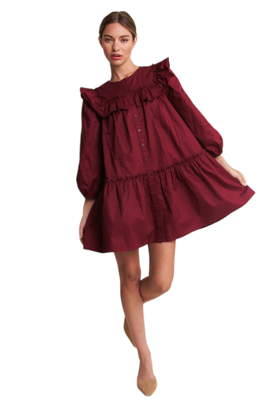 Apparel- In The Beginning Long Sleeve Ruffle Mini Dress