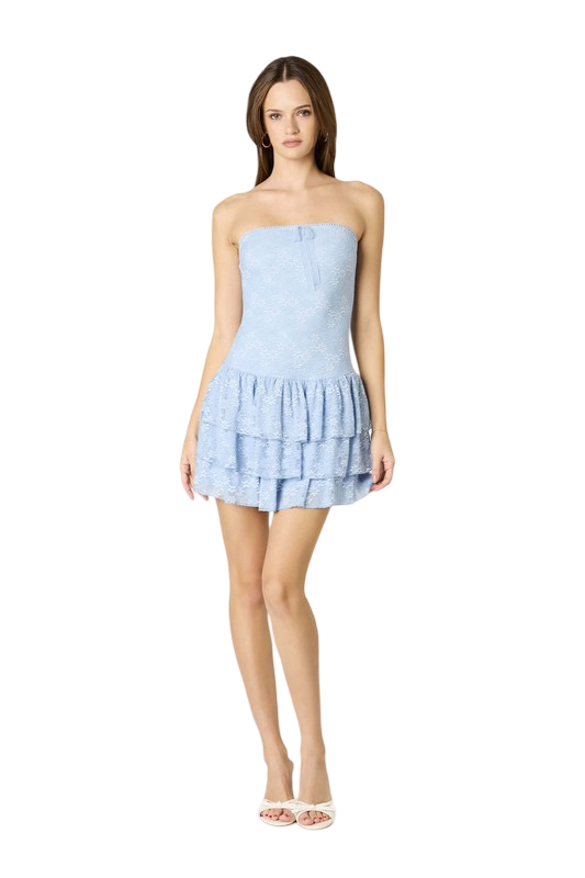 Apparel- Cotton Candy LA Ruffled Lace Mini Dress