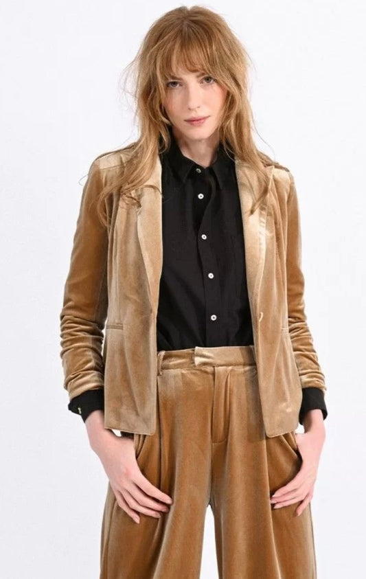 Apparel- Molly Bracken Velvet Blazer